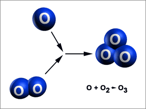 Ozon24.de Ozon Desinfektion-Behandlung